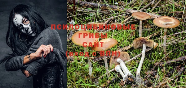 мет Снежинск