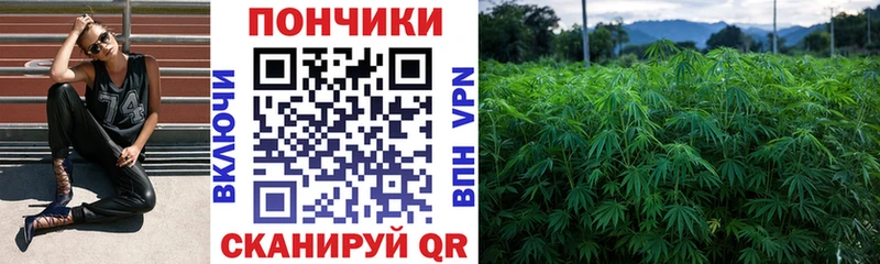 Купить закладки  Тара  Бошки марихуана LSD WEED 
